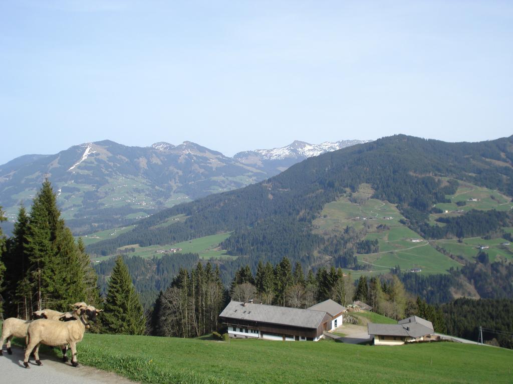 Biobauernhof Fleckl Villa Hopfgarten im Brixental Buitenkant foto